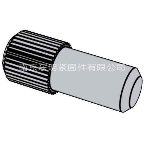 QC T 364 - 1999 滾花圓柱銷